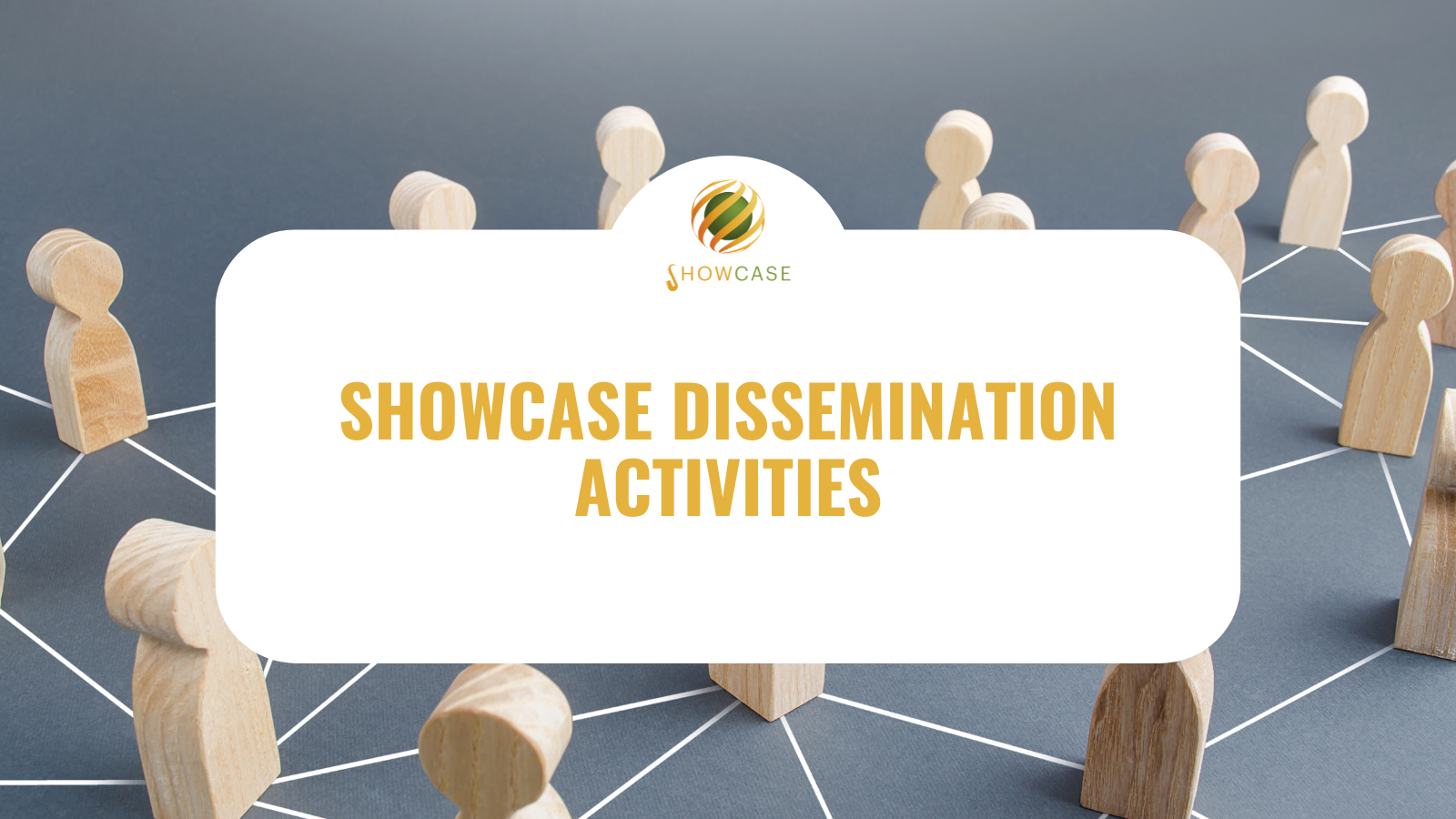 Disseminating biodiversity strategies: SHOWCASE's engagements with policymakers and international organisations