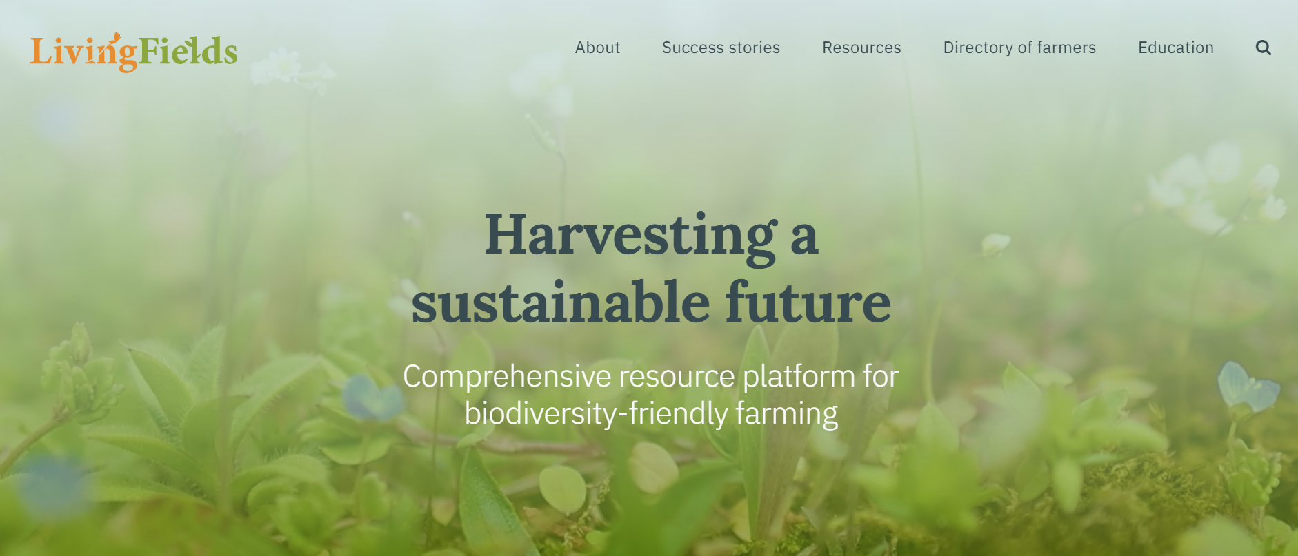 Take a sneak peak at SHOWCASE’s advancement of the agrobiodiversity communication platform Living Fields