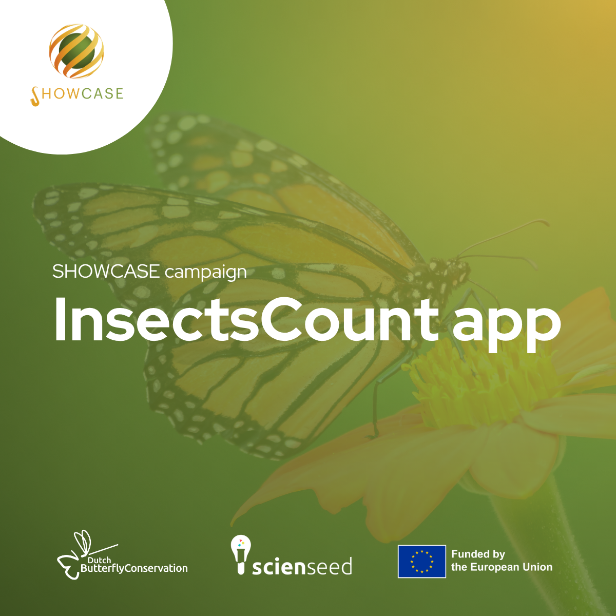 Multilingual social media campaign highlights InsectsCount for pollinator monitoring