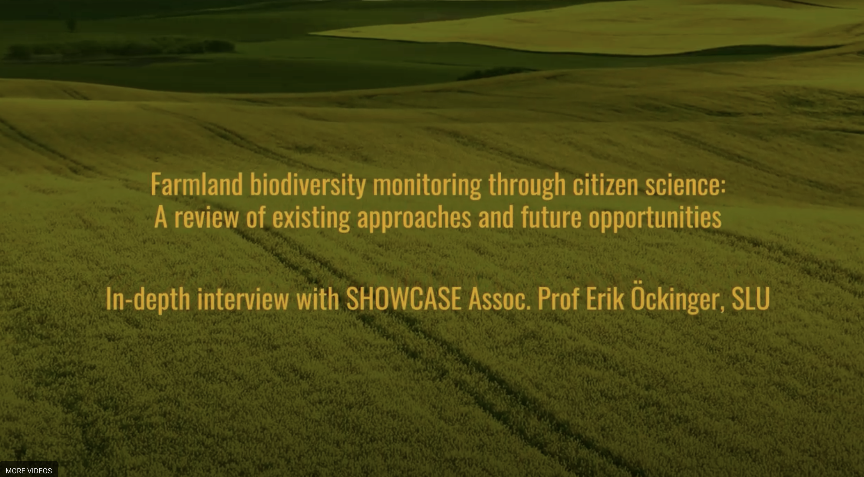Interview with partner Erik Öckinger on farmland biodiversity monitoring through citizen science