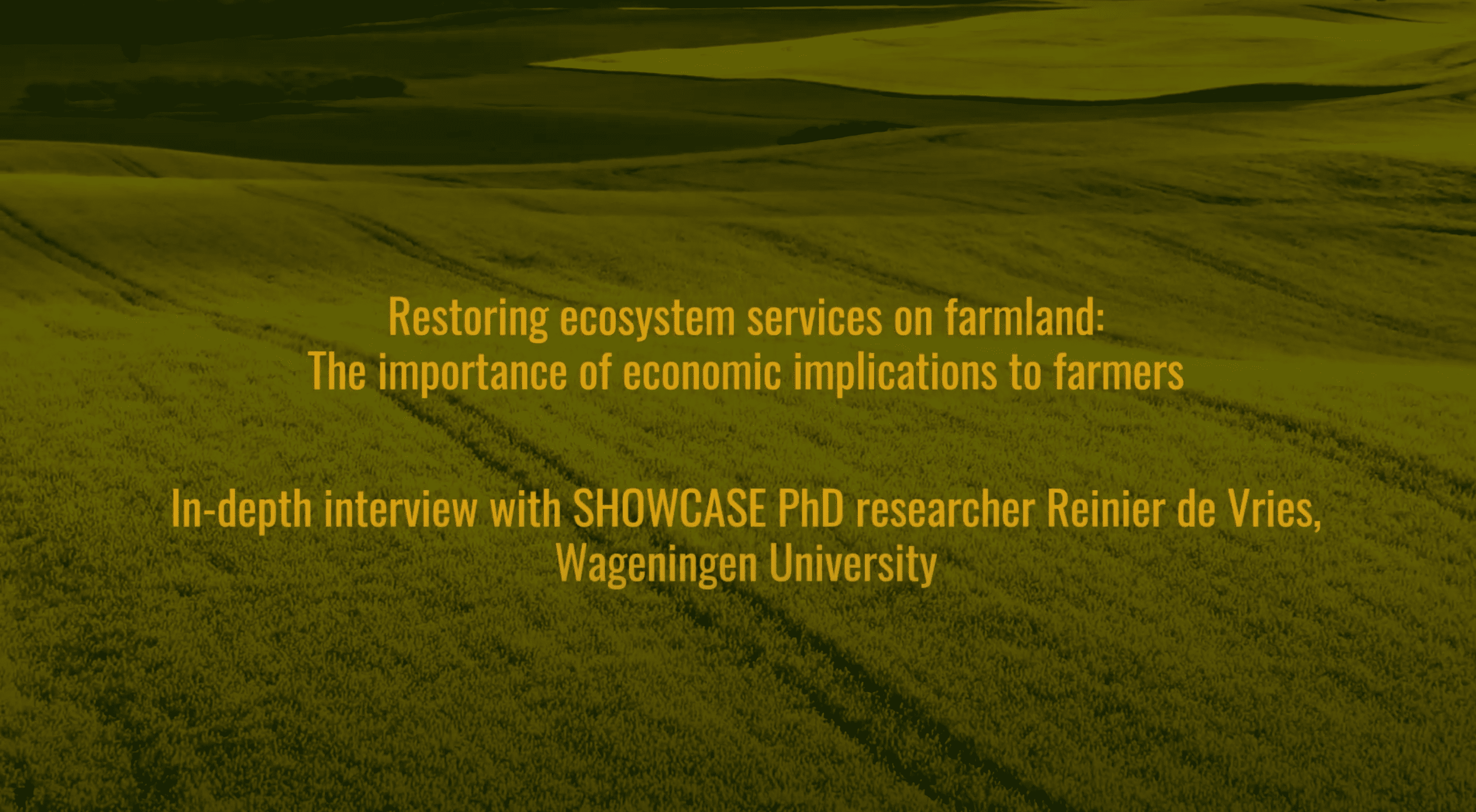 Interview with partner Reinier de Vries on restoring ecosystems on farmland