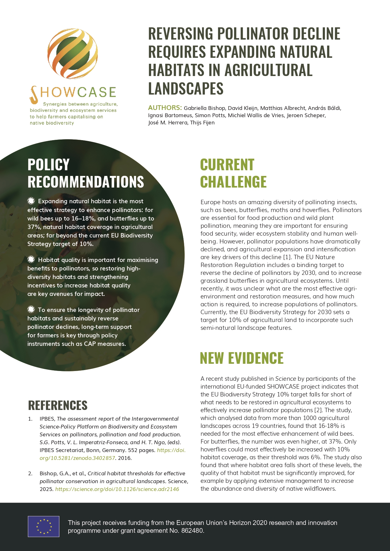 SHOWCASE publishes second policy brief on the decline of pollinators in Europe alongside policy recommendations